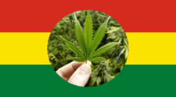 Cannabis Laws in Bolivia