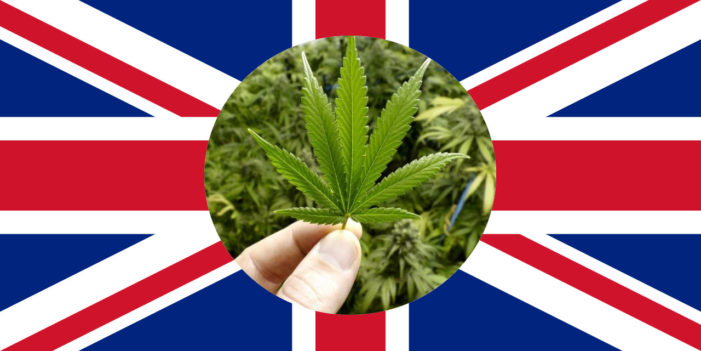 Cannabis Laws in the UK