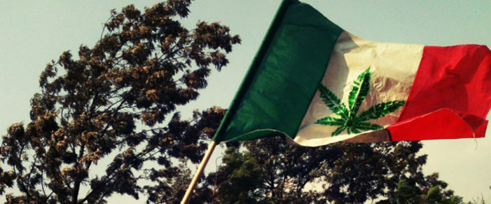 In Mexico, smoking marijuana has become a “human right”