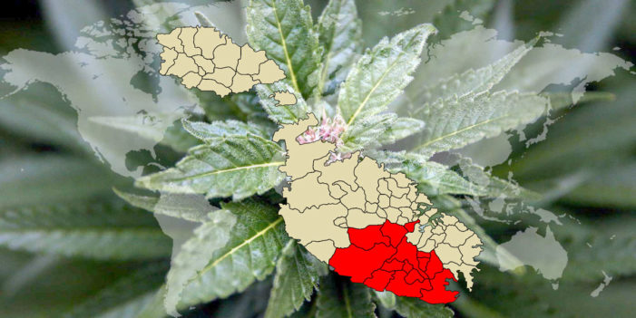 Cannabis law in Malta