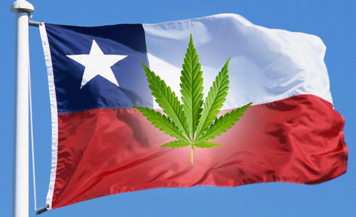 CANOPY GROWTH will develop medicinal cannabis products in Chile