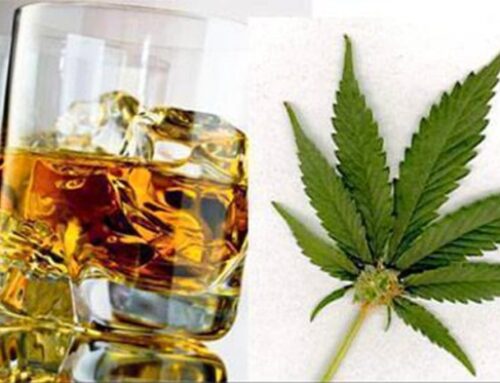 Alcohol-most harmful recreational drug- cannabis the least
