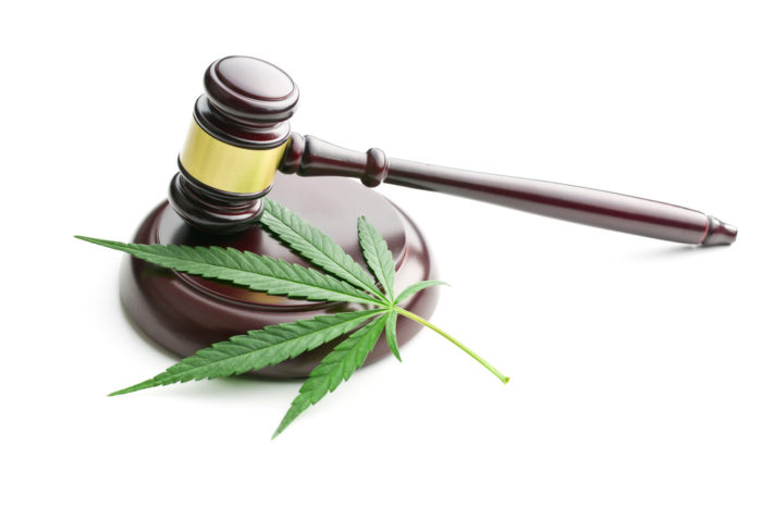 Cannabis legalisation gets help from World Health Organisation