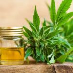 Low-THC marijuana oil sales to begin at Georgia independent pharmacies