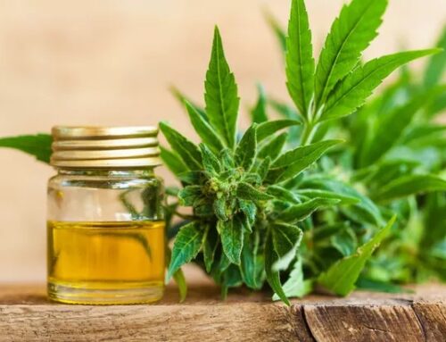 Low-THC marijuana oil sales to begin at Georgia independent pharmacies