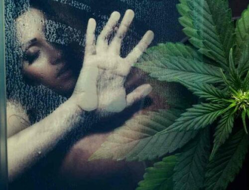 Marijuana Can Help Increase Orgasm Frequency And Satisfaction For Women, Study Finds