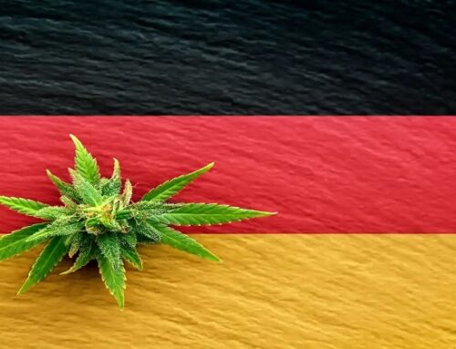 Germany’s Marijuana Legalization Law Officially Takes Effect, Allowing Personal Possession And Cultivation For Adults