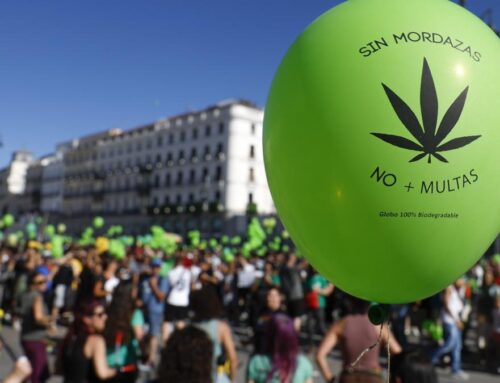 La Cultura del Cannabis en Madrid